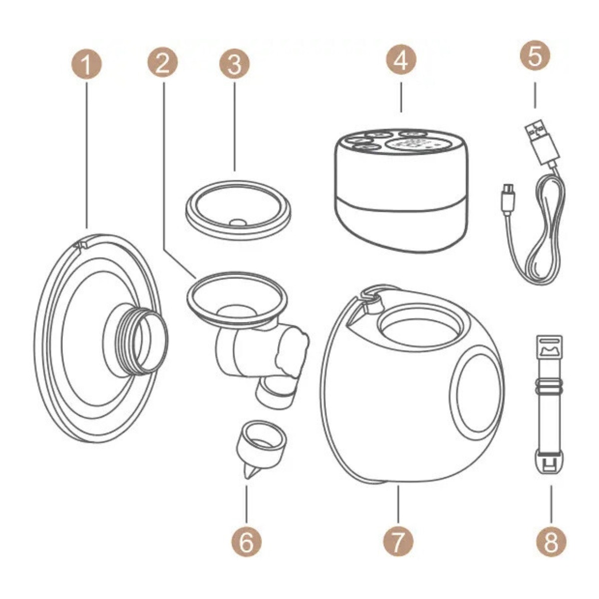Diafragma - Imagen 3